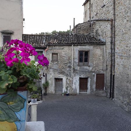 La Casa Della Nonna Daire Cammarata Dış mekan fotoğraf