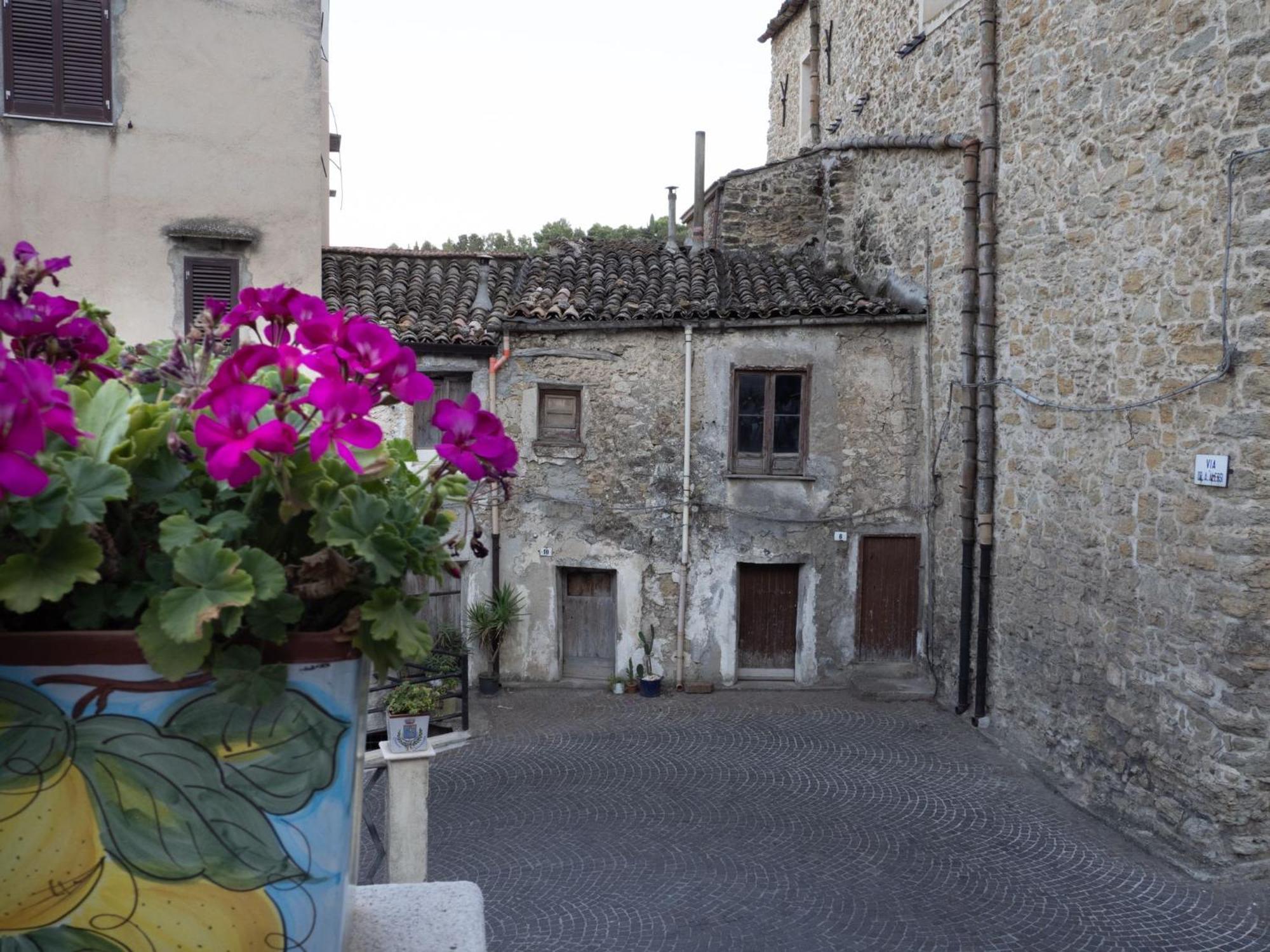 La Casa Della Nonna Daire Cammarata Dış mekan fotoğraf